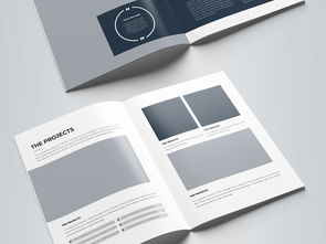 簡約大氣藍色科技公司軟件開發宣傳冊模板圖片設計素材